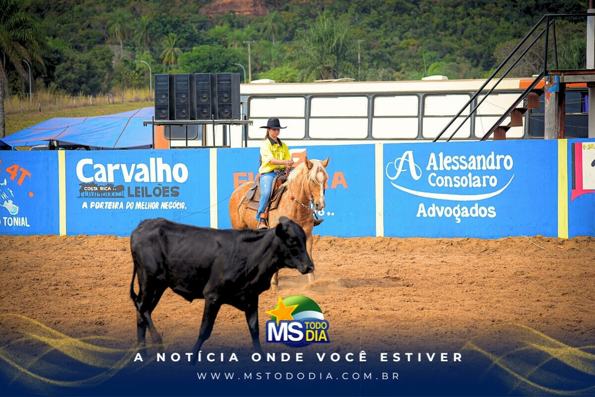 Imagem da Galeria
